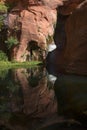 Desert Oasis in Coyote Gulch Royalty Free Stock Photo