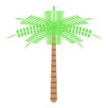 Desert palm icon, isometric style