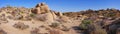 Desert Panoramic Image