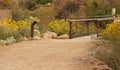 Desert path through the brittlebush Royalty Free Stock Photo