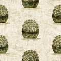 Desert plant on sand texture seamless raster pattern. Organic succulent foliage for tileable bohemian illustration