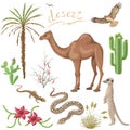 Desert plants and animals set