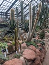 Desert plants Botanic gardens Glasgow