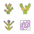 Desert plants color icons set