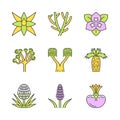 Desert plants color icons set