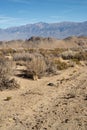 Desert view with dirt road up hill Eastern Sierra Nevada mountains Royalty Free Stock Photo