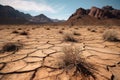 desert plants in drought cracked ground generative ai Royalty Free Stock Photo