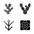 Desert plants glyph icons set