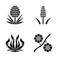 Desert plants glyph icons set Royalty Free Stock Photo