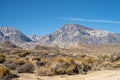 Desert plants, hills, blue sky Eastern Sierra Nevada mountains Royalty Free Stock Photo