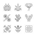 Desert plants linear icons set Royalty Free Stock Photo