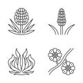 Desert plants linear icons set Royalty Free Stock Photo