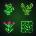 Desert plants neon light icons set