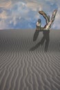 Desert with pointing statue Royalty Free Stock Photo