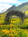 Desert Poppies Under a Natural Arch