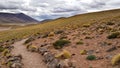 Desierto de Atacama in Chile. Royalty Free Stock Photo