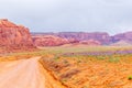 Desert purple, blue wild flower. Phacelia blooming in vast landscape of Monument Valley Royalty Free Stock Photo