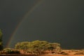 Desert rainbow Royalty Free Stock Photo