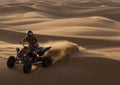 Desert Ranger in Action