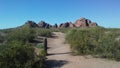 Desert with Red Rocks and Blossoming Larrea Tridentata Plants in Phoenix, Arizona in Spring.