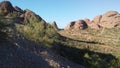 Desert with Red Rocks and Blossoming Larrea Tridentata Plants in Phoenix, Arizona in Spring.