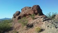 Desert with Red Rocks and Blossoming Larrea Tridentata Plantsin Phoenix, Arizona.