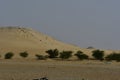 Desert sand and sand Dunes, in the heart of Saudi Arabia on the way to Riyadh Royalty Free Stock Photo