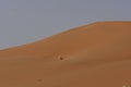 Desert sand and sand Dunes, in the heart of Saudi Arabia on the way to Riyadh Royalty Free Stock Photo