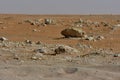 Desert sand and rocks, in the heart of Saudi Arabia, rocks are also seen