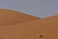 Desert sand and sand Dunes, in the heart of Saudi Arabia on the way to Riyadh Royalty Free Stock Photo