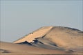 Desert sand and sand Dunes, in the heart of Saudi Arabia on the way to Riyadh Royalty Free Stock Photo