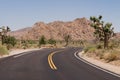 Desert road Royalty Free Stock Photo