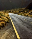 Desert road