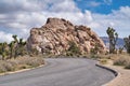 Desert road along Joshua trees and rocks in Joshua Tree National Park California Royalty Free Stock Photo