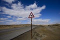 Desert road with a camel sign Royalty Free Stock Photo