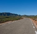 Desert road in early spring Royalty Free Stock Photo