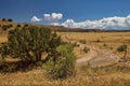 Desert Road in Rabbit Valley