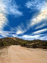 Desert road Sonora Desert Arizona