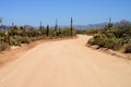 Desert Road Sonora desert Arizona Royalty Free Stock Photo