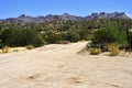 Desert Road Sonora desert Arizona Royalty Free Stock Photo