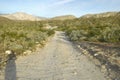 Desert road in spring at Coyote Canyon, Anza-Borrego Desert State Park, near Anza Borrego Springs, CA
