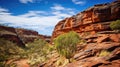 desert rock canyon landscape