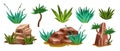Desert rock set, vector canyon stone kit, cactus, succulent, agave, wild west environment nature objects.