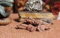 Desert Rose Rocks from Oklahoma on Australian Red Sand With Tigers Eye and Pyrite Royalty Free Stock Photo