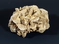 Desert rose from Tunisia Royalty Free Stock Photo