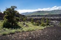 Desert sagebrush, juniper trees and lava rock landscape at Craters of the Moon National Monument in Idaho Royalty Free Stock Photo