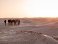 Desert of the Sahara at Douz in Tunisia caravan of camels on the