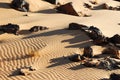 Desert sand background, Sahara desert, Libya Royalty Free Stock Photo