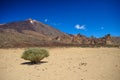 Desert with sand and brush, volcano Teide Royalty Free Stock Photo