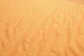 Desert sand close up Royalty Free Stock Photo